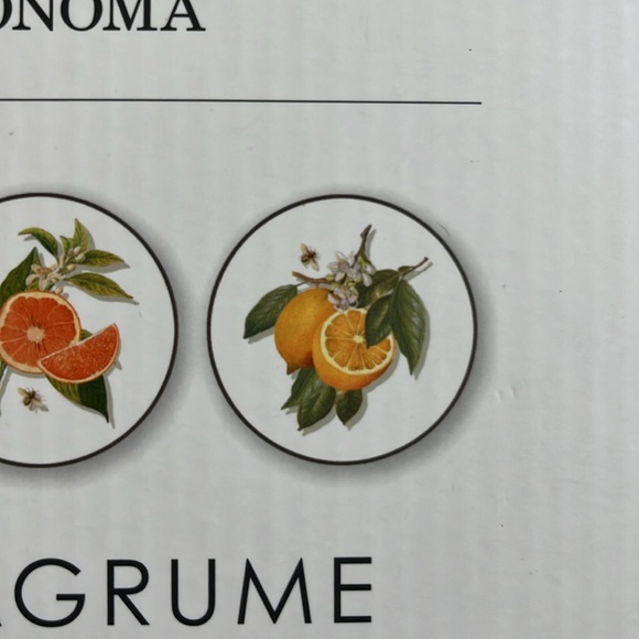 4-WILLIAMS SONOMA Citrus FRUIT BEES Salad Plates LEMONS LIME GRAPFRUIT ORANGE 9" - Picture 10 of 11
